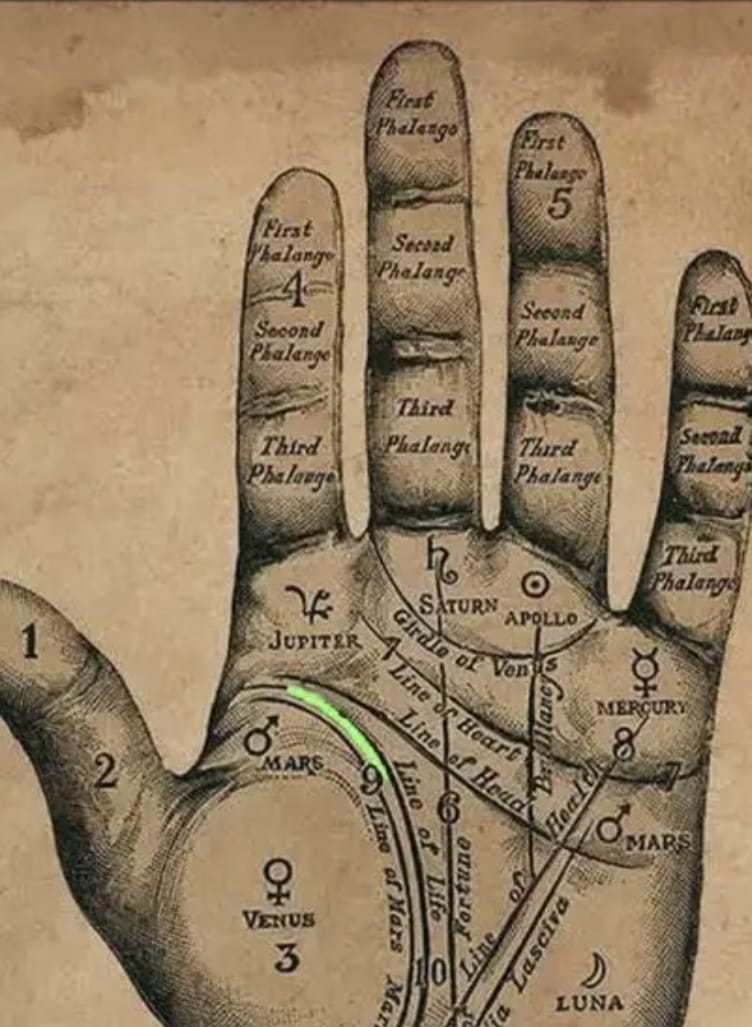 Lectura de las líneas de la mano