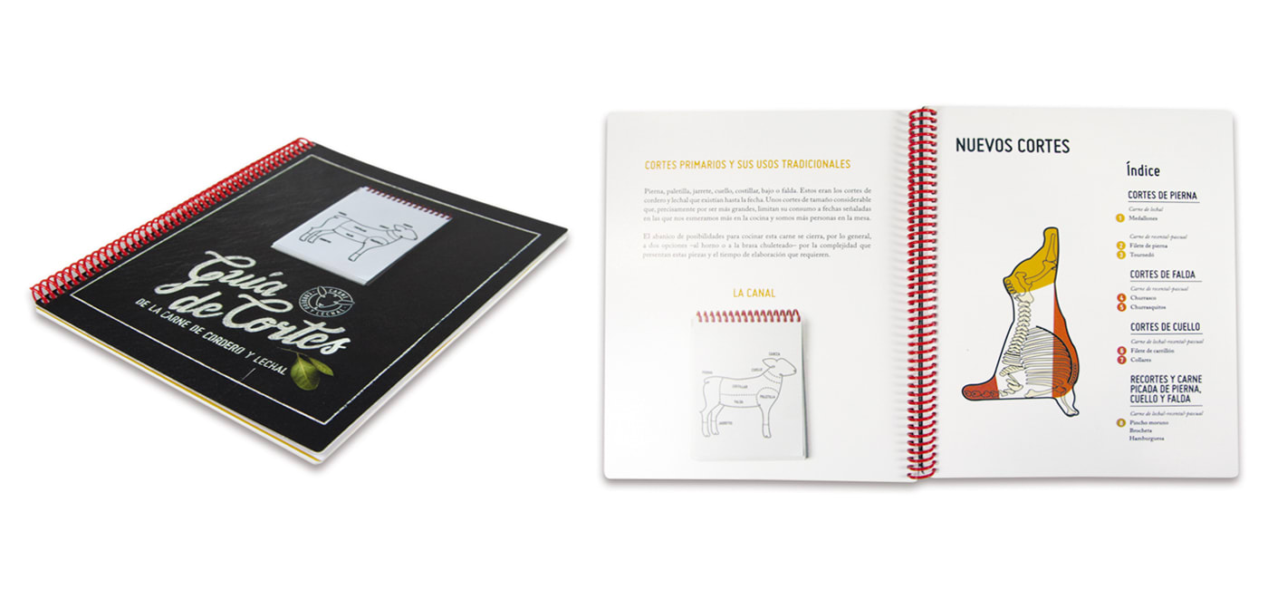 Cartas de información personalizadas para empresas