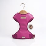 Arnes New Collection 
