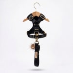 Arnes New Collection 