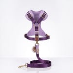 Arnes New Collection 