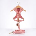 Arnes New Collection 