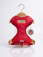 ARNES PRO NEW COLLECTION