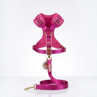 Arnes New Collection 