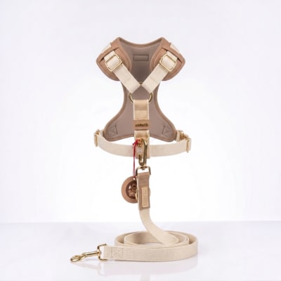 ARNES PRO NEW COLLECTION