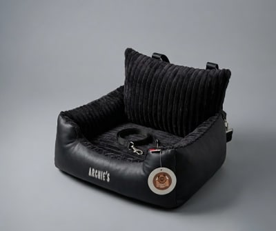 Silla de carro