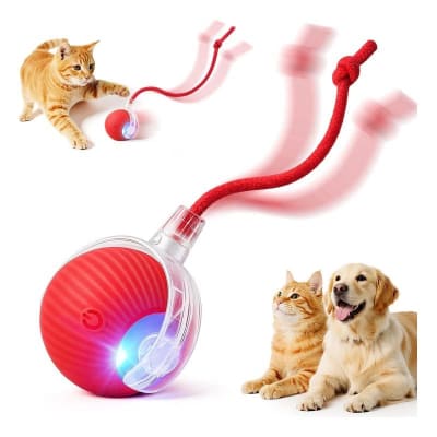 Pelota Electrica