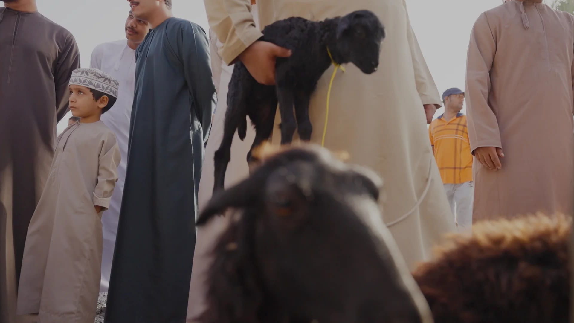 The Oman Episodes: A Cultural Discovery - Image 3