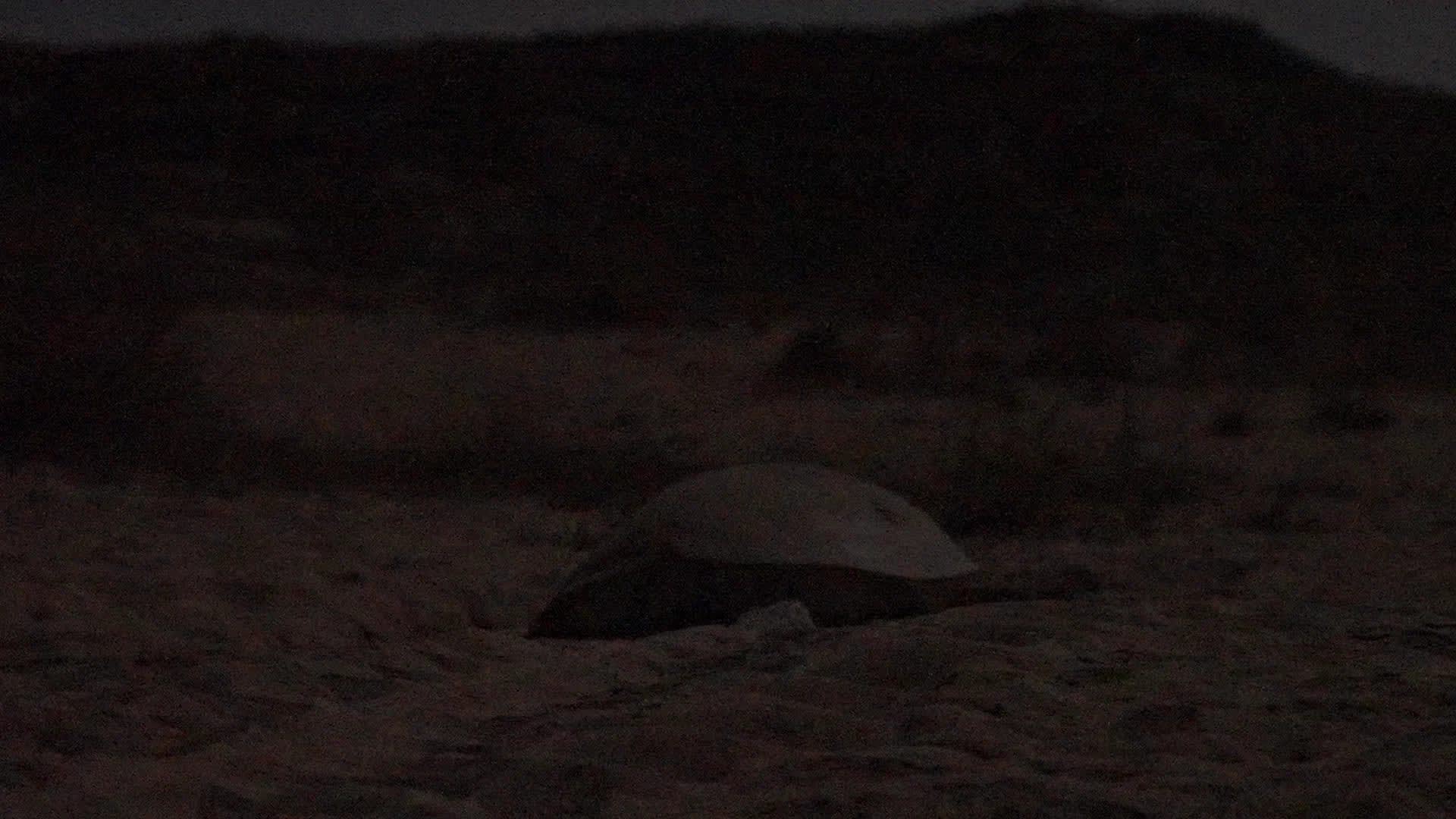 The Oman Episodes: A Cultural Discovery - Image 8