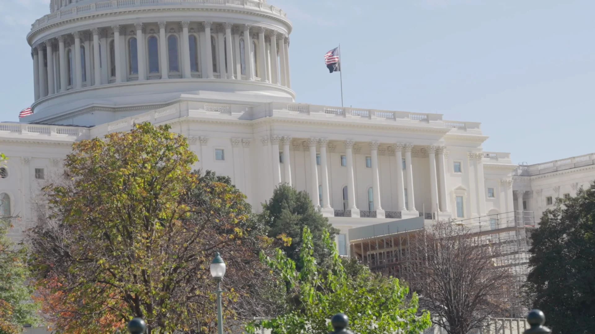 2024 US Election - Image 4