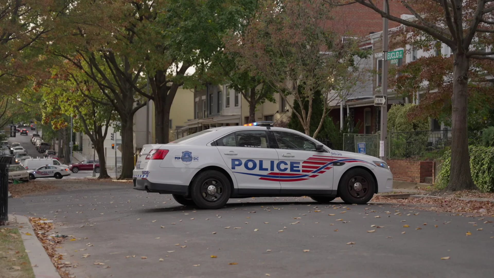 2024 US Election - Image 2