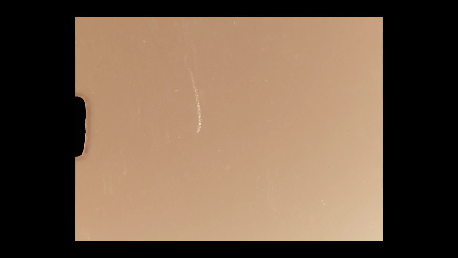 Tema para um Pequeno Filme - Image 15