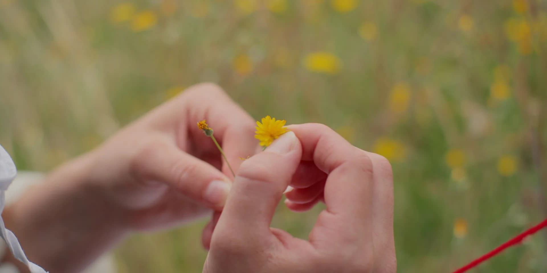 Thread: Just A Maid - Image 10