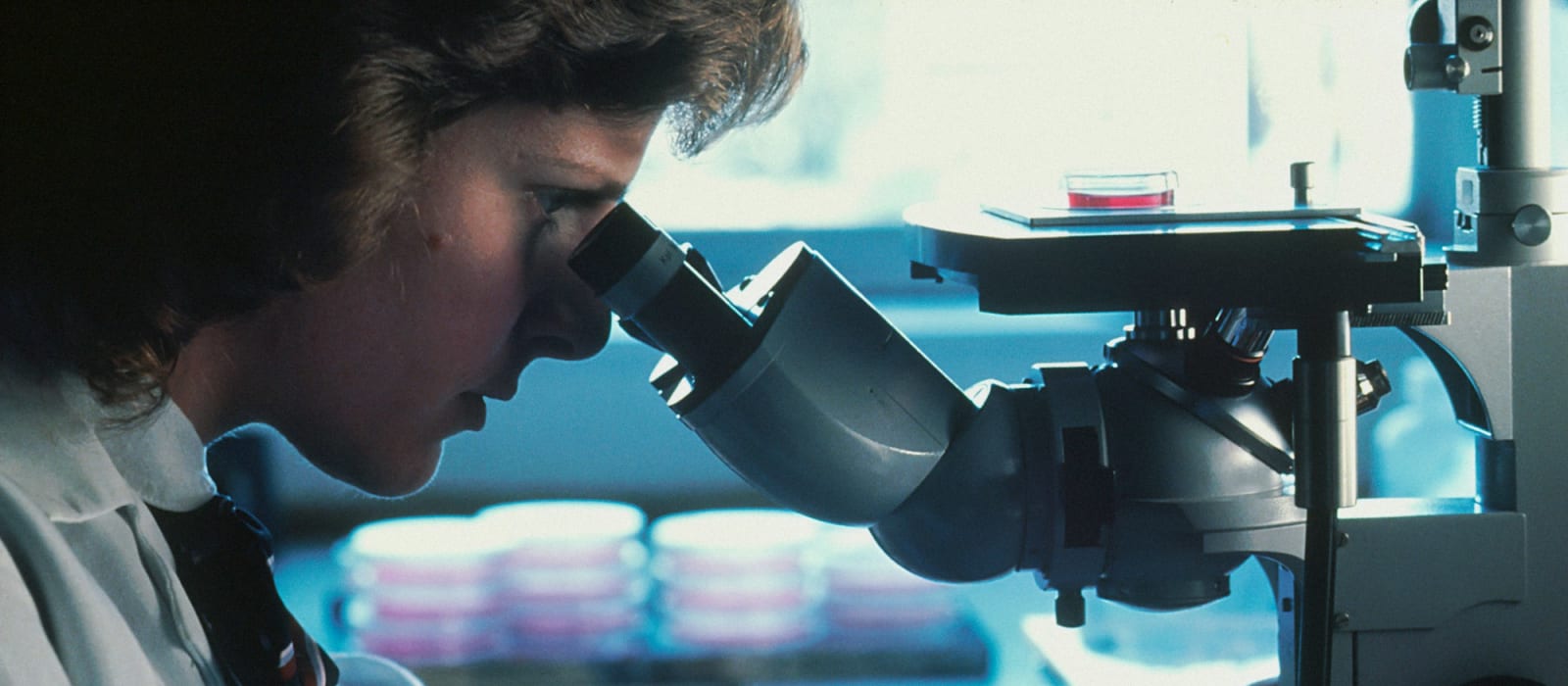 Scientist using a microscope in a research laboratory