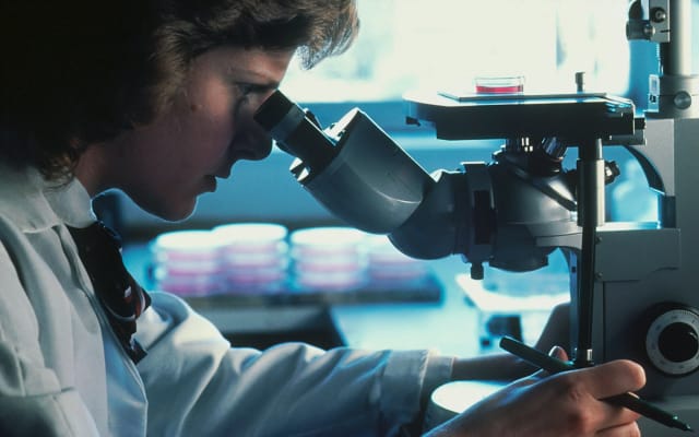 Scientist using a microscope in a research laboratory