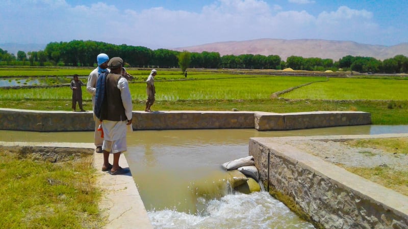 Smart Irrigation System