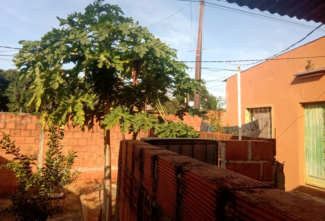 VENTA EN BLOCK SOBRE TERRENO DE 35.71 MTS X 9.21 MTS (DOS DEPTOS, UN MONOAMBIENTE Y UNA VIVIENDA UNIFAMILIAR)-5