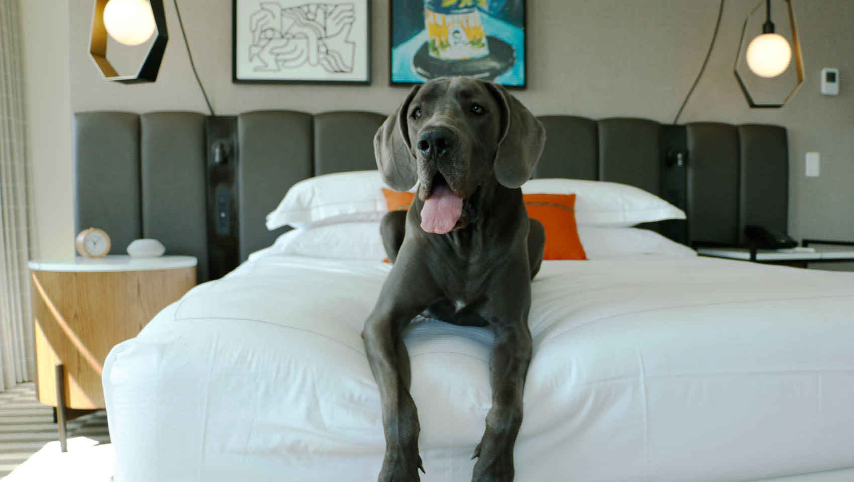 Pet friendly hotel in Santa Monica, CA