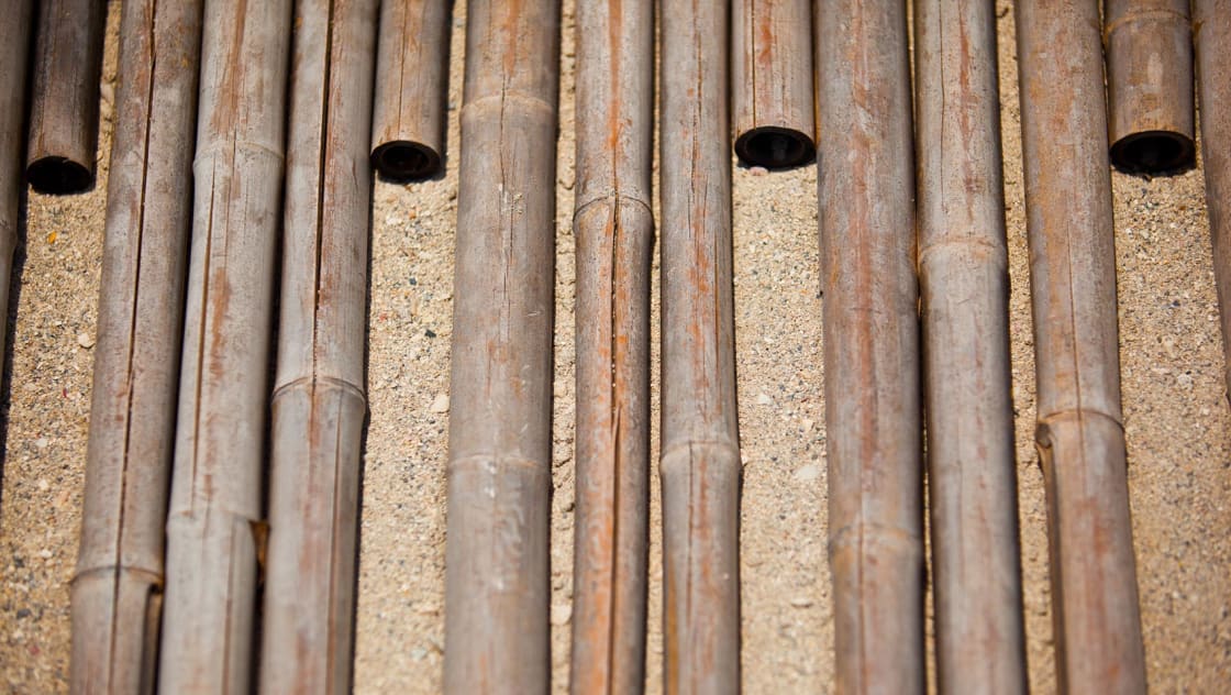bamboo on sand