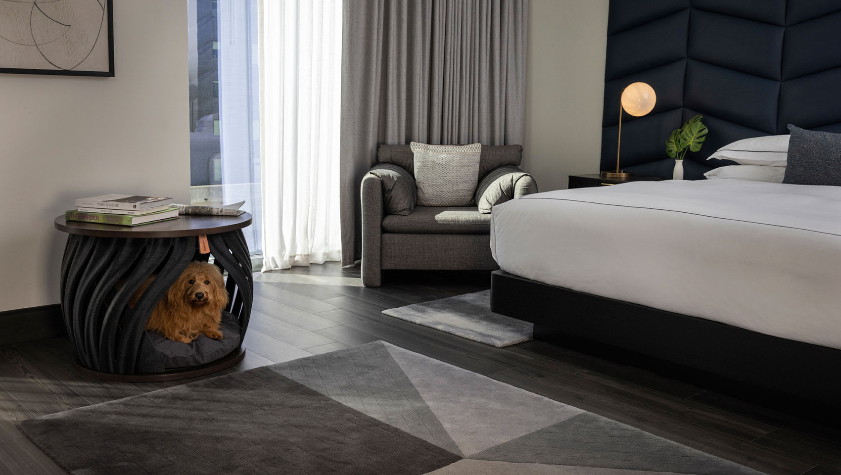 pet dog sitting on outdoor furniture