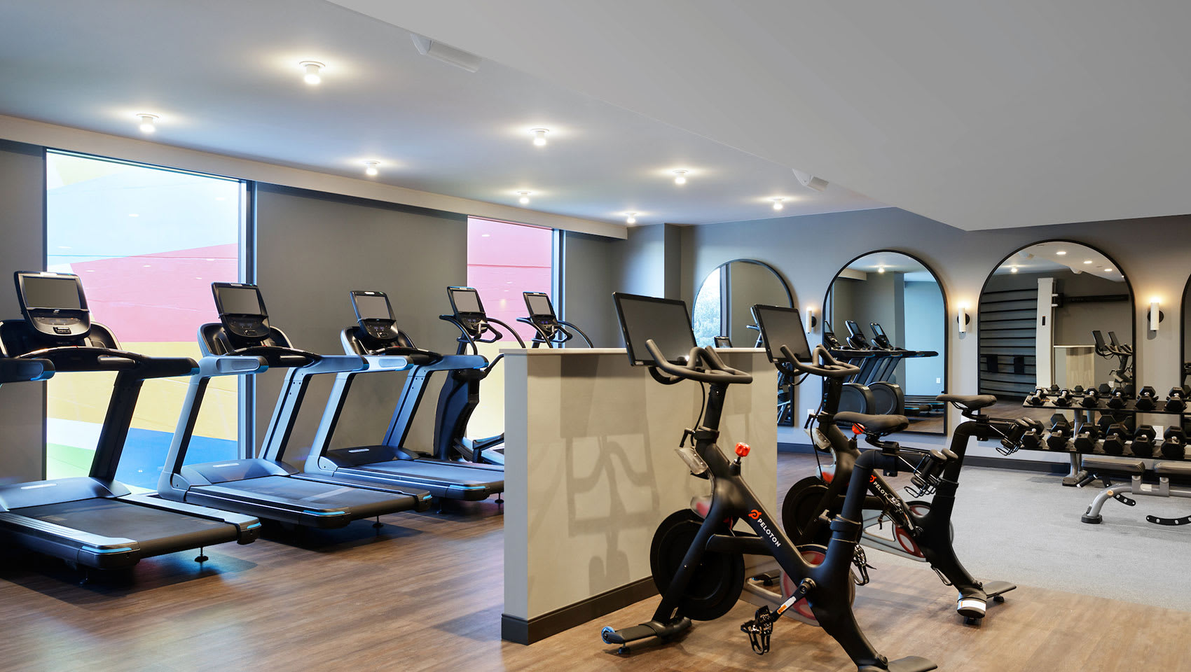 Kimpton Shane gym