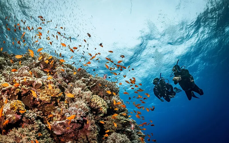 Image of Adventure Activities