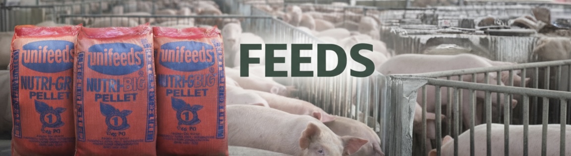 Feeds