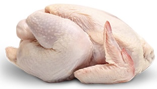 DRESSED CHICKEN