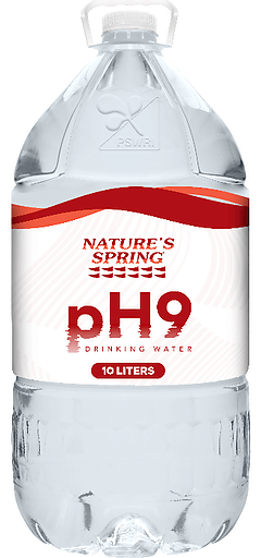 NATURE'S SPRING ALKALINE 10L