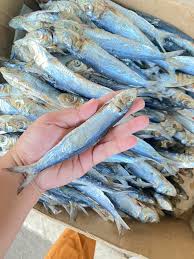BUWAD HAWOL2X 1KG CLASS A
