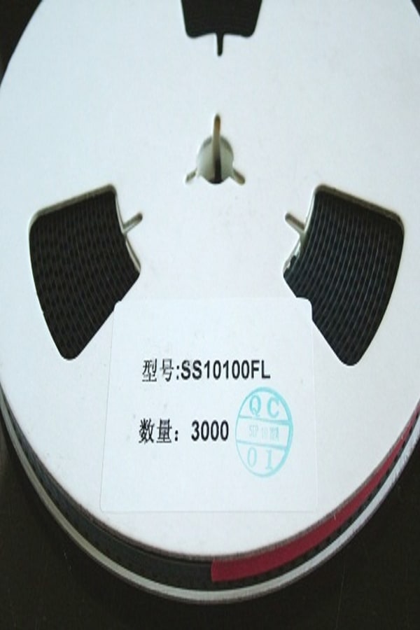 SS10100FL