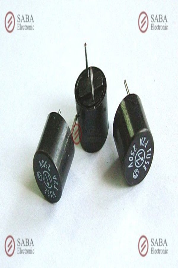 FUSE 2A-250V