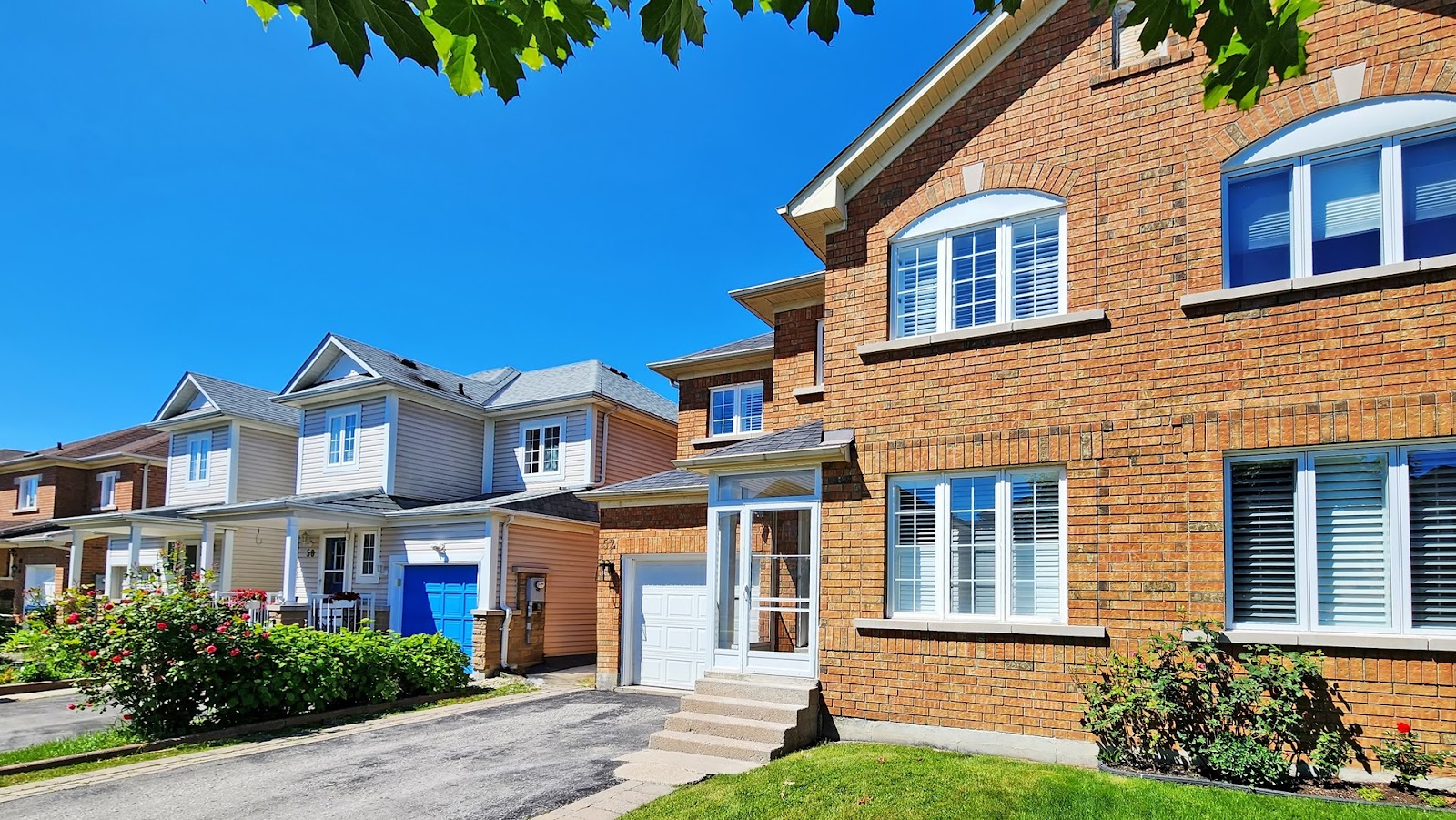 Team David Mamo Real Estate — Real Estate in Scarborough - Image 3