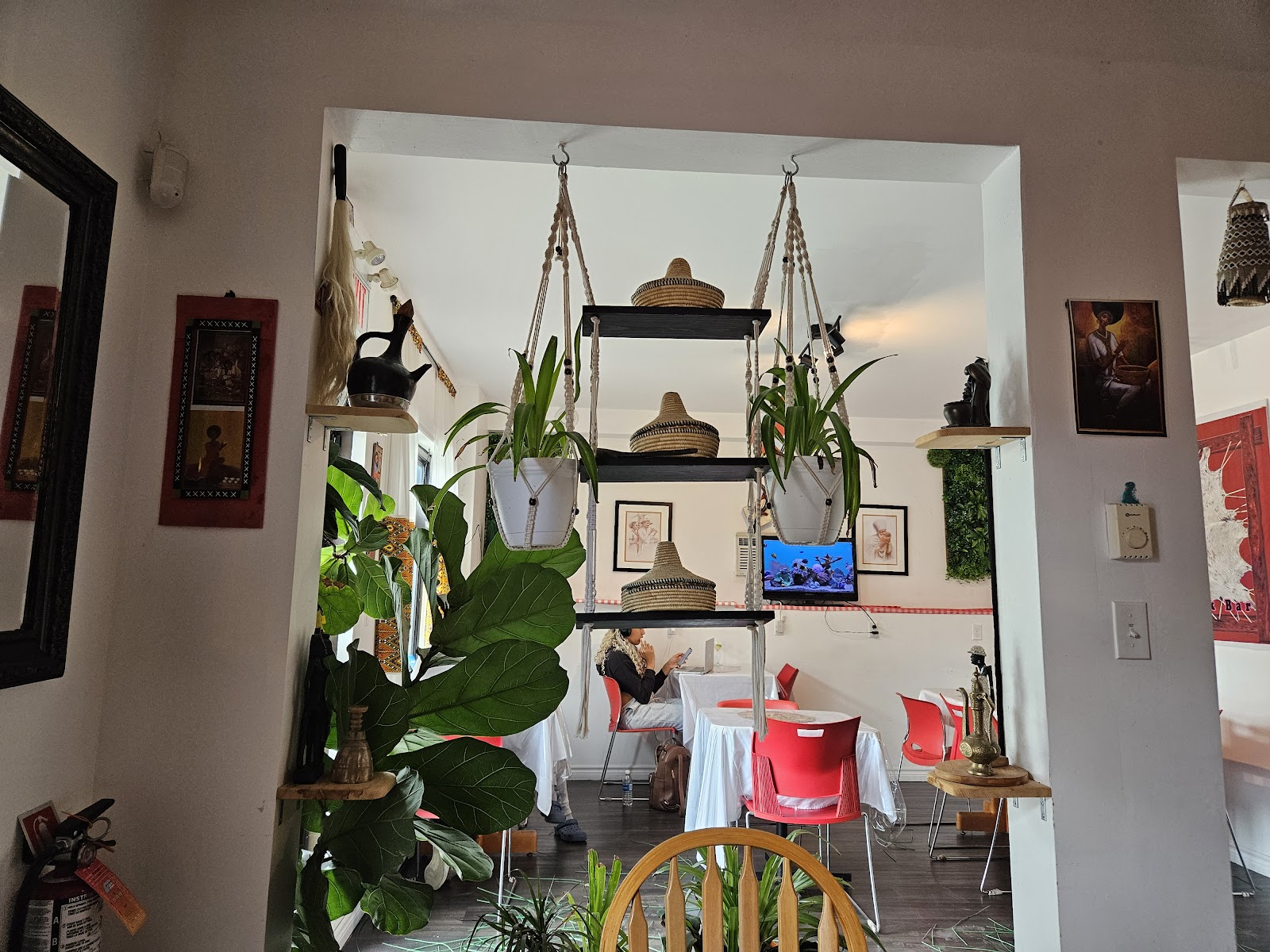 Aster Cafe — Restaurant / Cafe in Halifax - Image 2