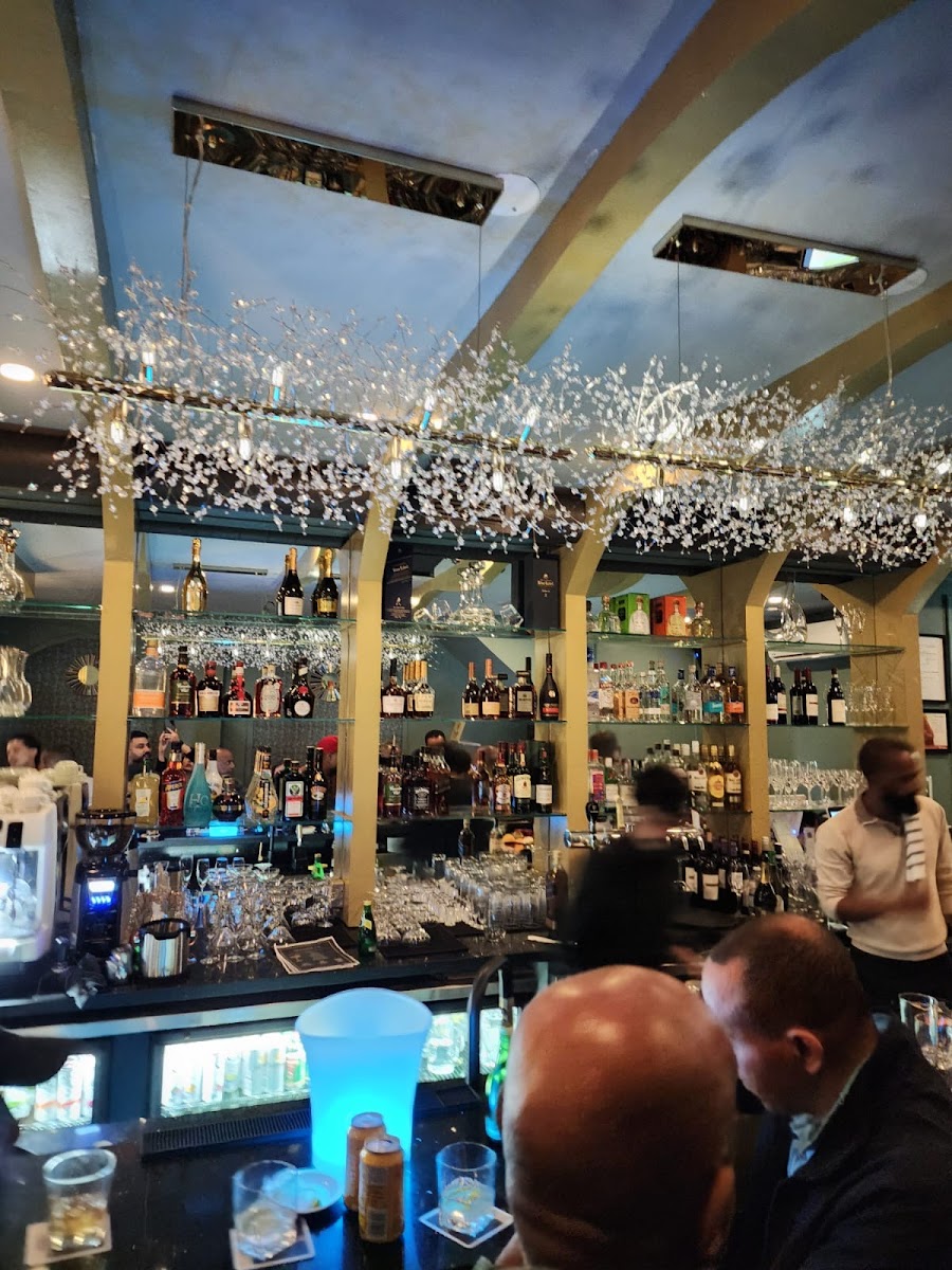 Privilege T.O β Bar / Lounge in Toronto - Image 3
