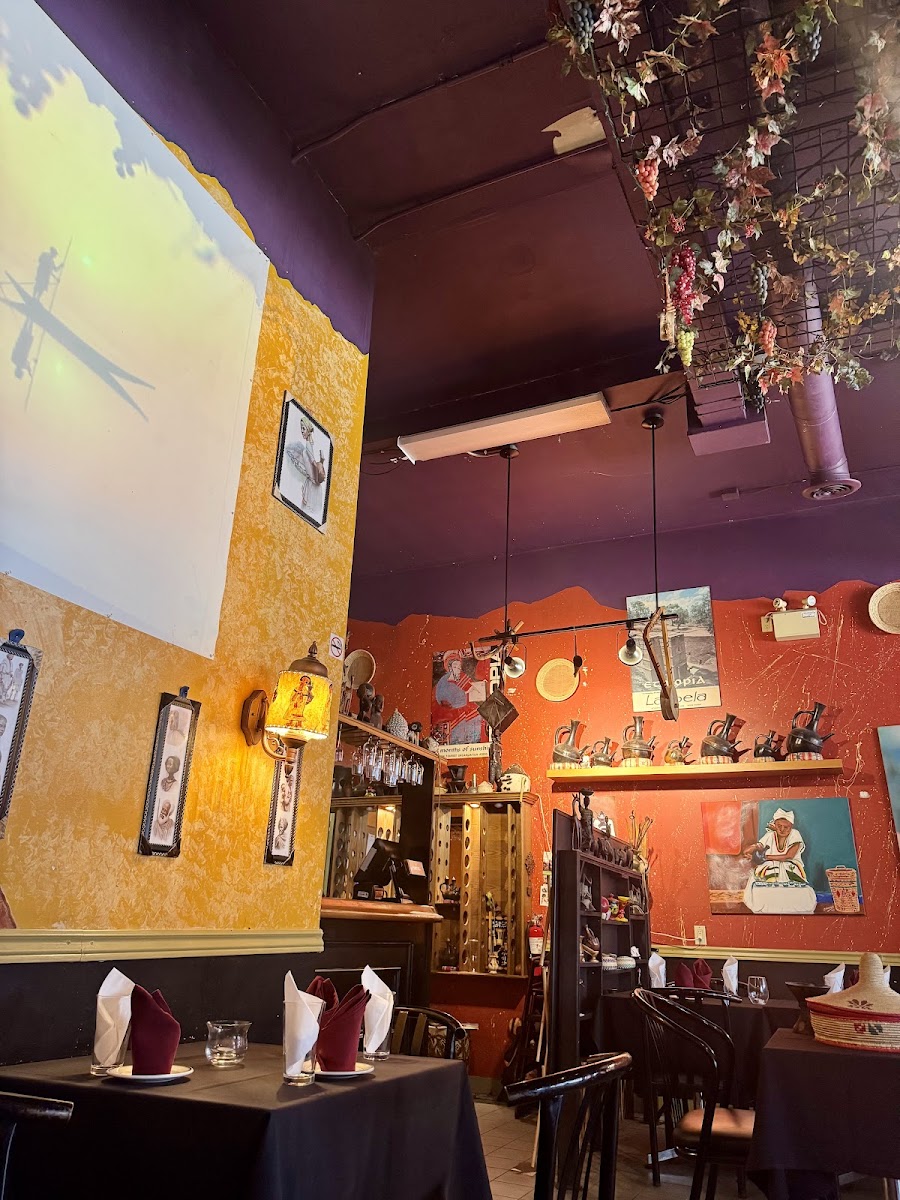 TGs Addis Ababa Restaurant β Restaurant / Cafe in London - Image 4
