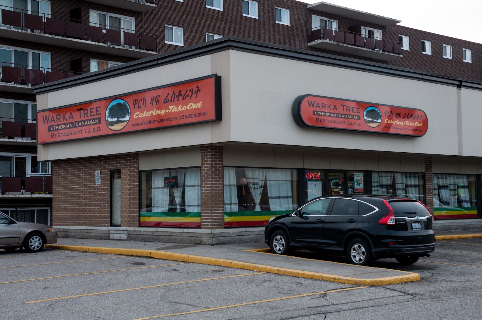 Warka Tree Ethiopian Restaurant β Restaurant / Cafe in Guelph - Image 1