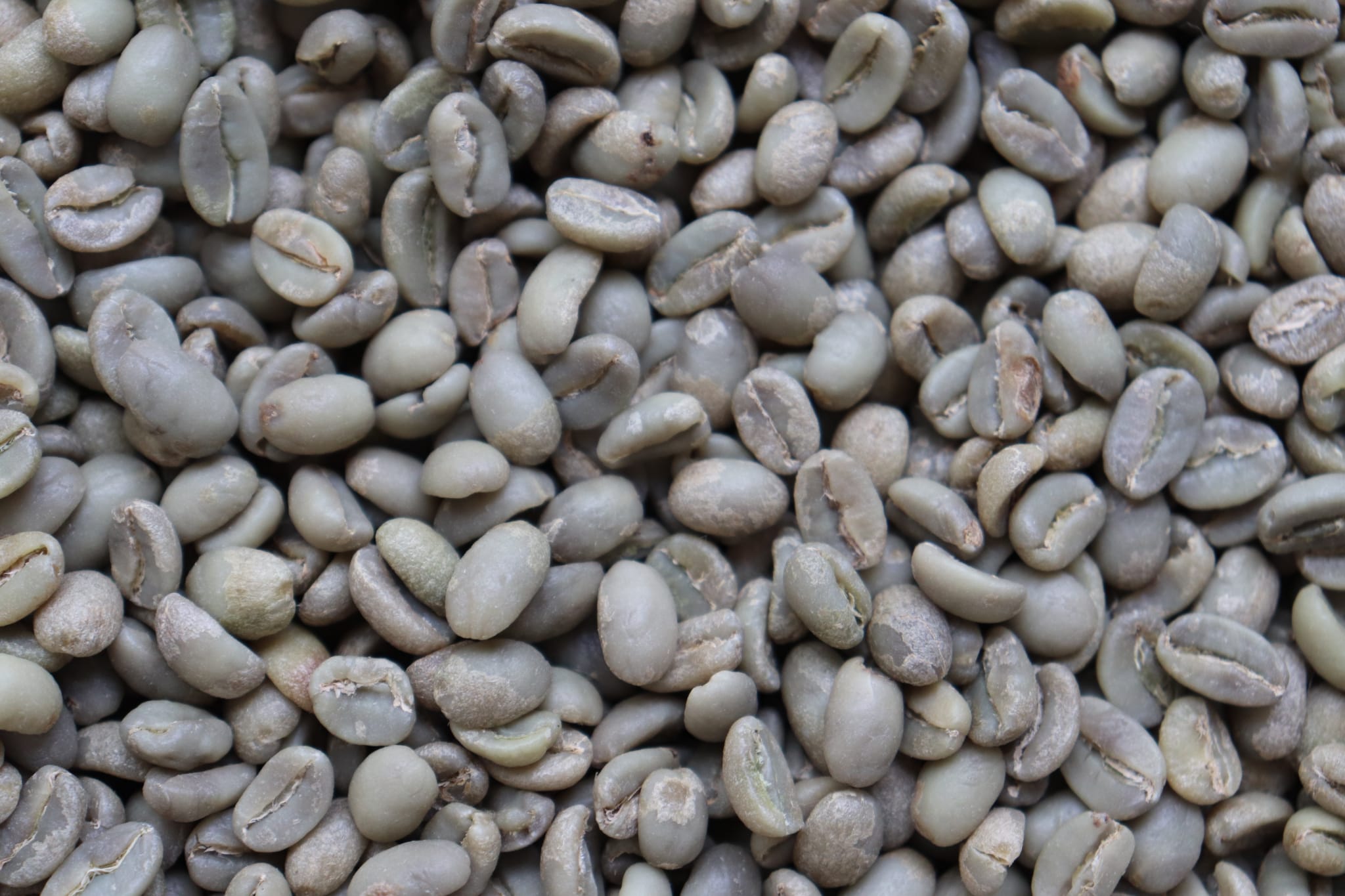 Cabey Café — Restaurant / Cafe in Toronto - Image 1