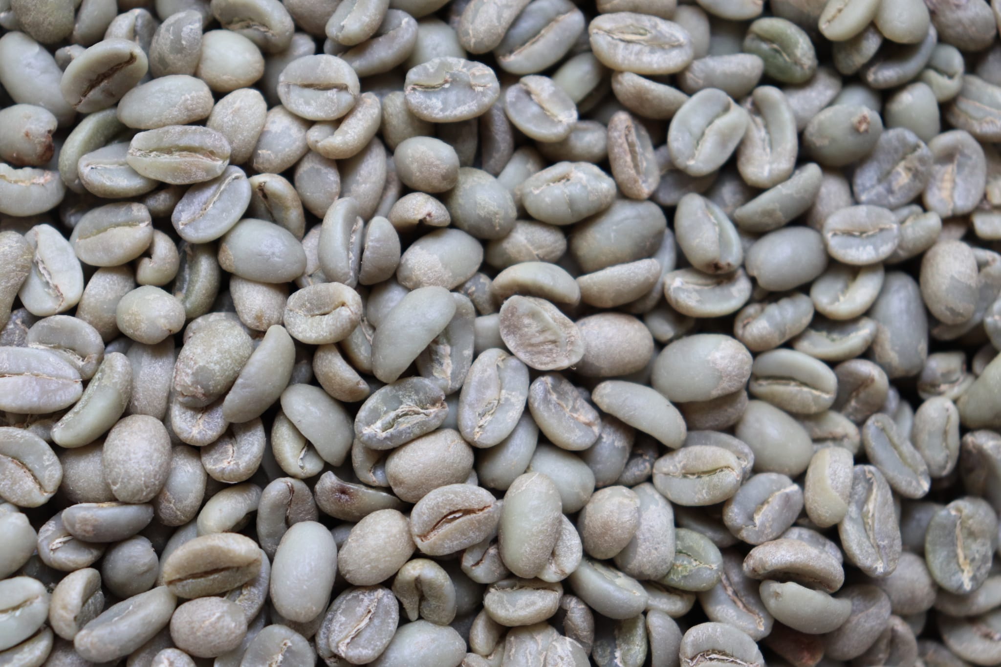 Cabey Café — Restaurant / Cafe in Toronto - Image 2