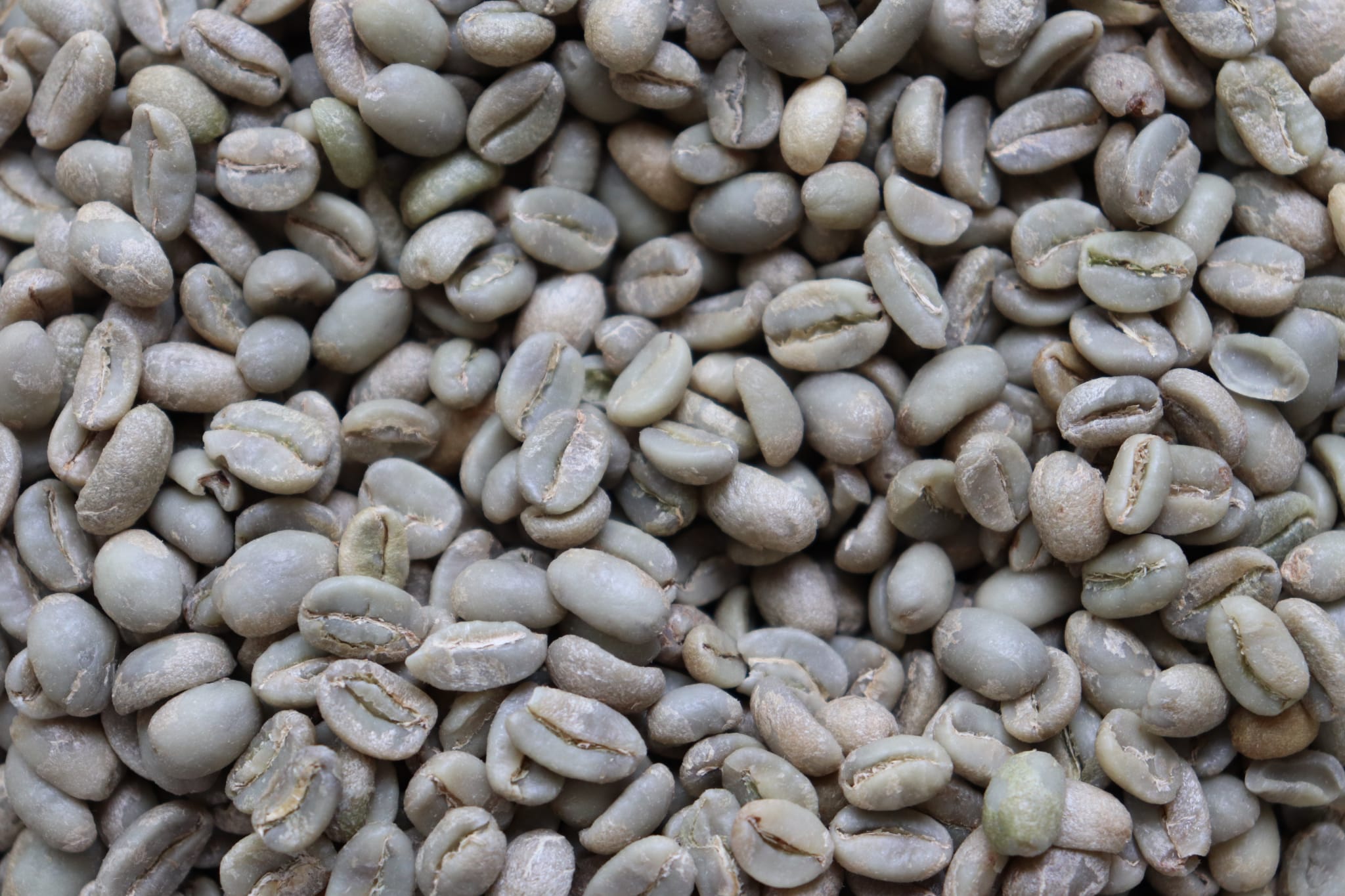Cabey Café — Restaurant / Cafe in Toronto - Image 3