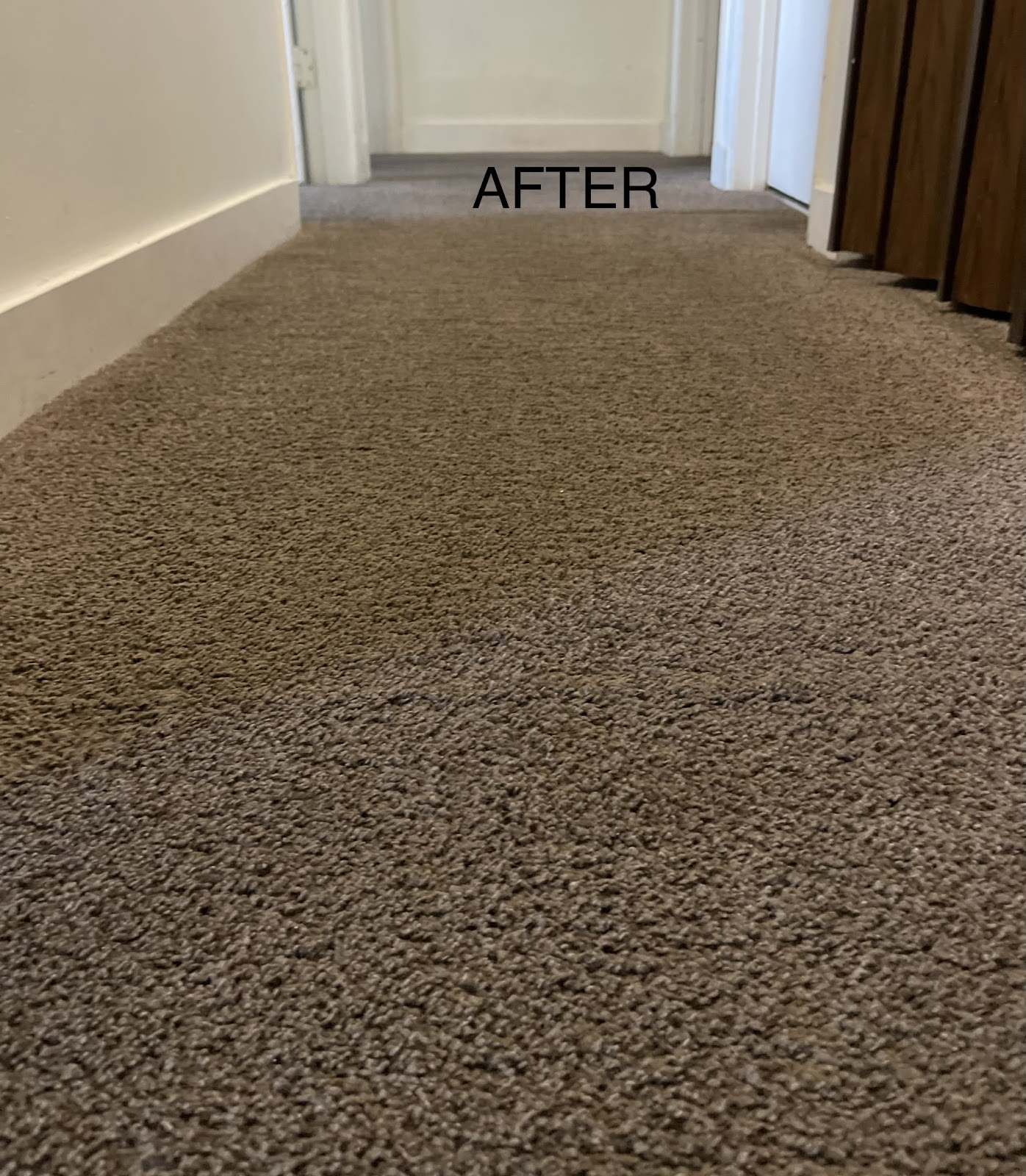 Holy Henny Cleaning Services LTD โ Services in Calgary - Image 1