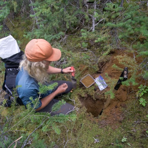 Collecting MMI soil samples at Wann River south of Engineer Gold Mine