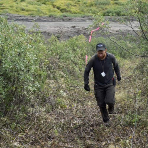 Crew pulling IP survey cables down a cut line through dense brush