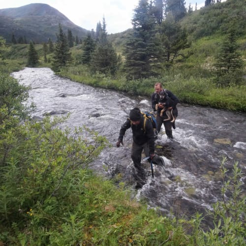 Field crew fording a river to access a geophysics survey grid