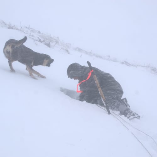 Placing current electrodes for an IP survey through spring snowpack