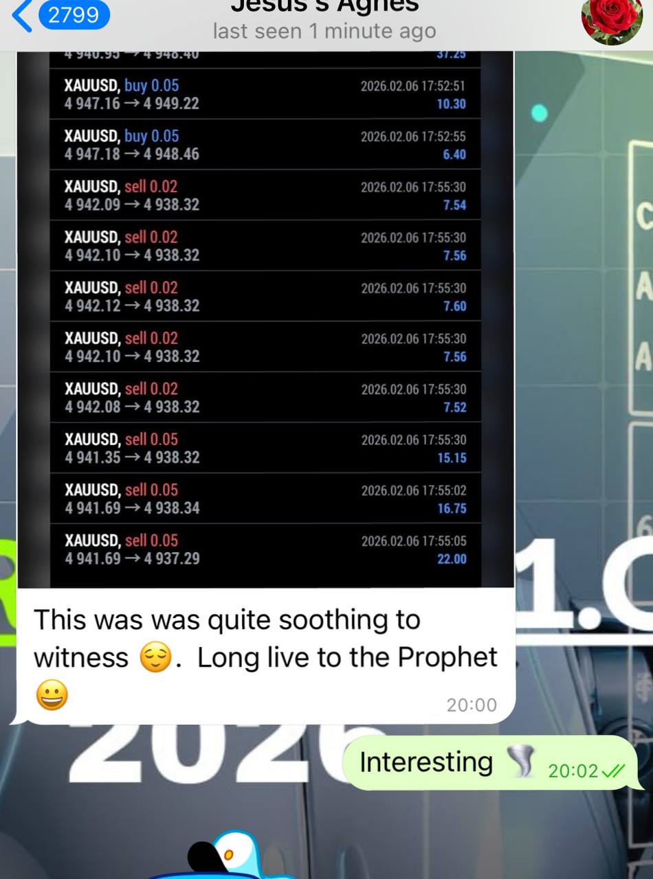 Real verified MT4/MT5 profit result 3