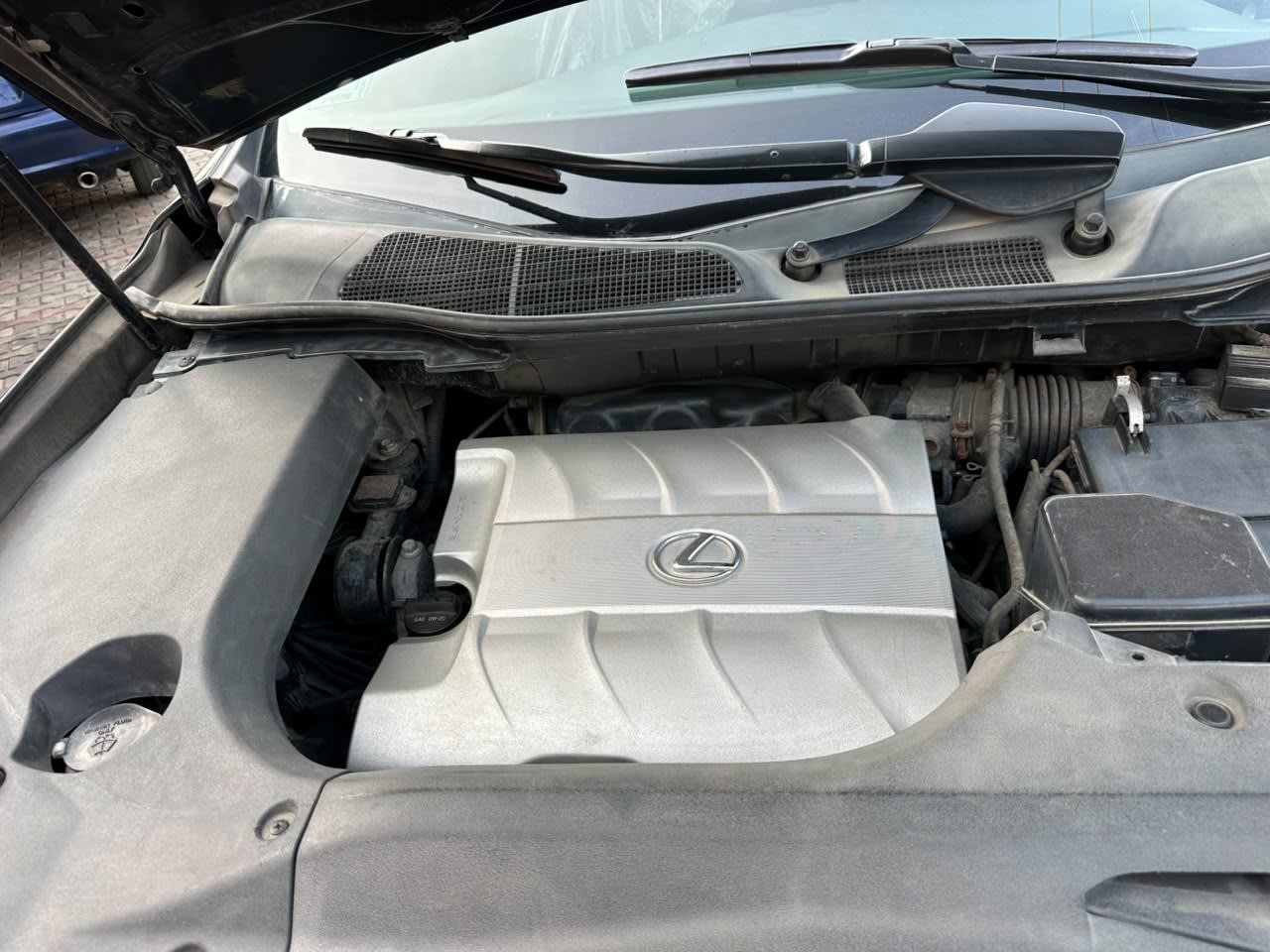 Lexus rx350 Rx350 sport