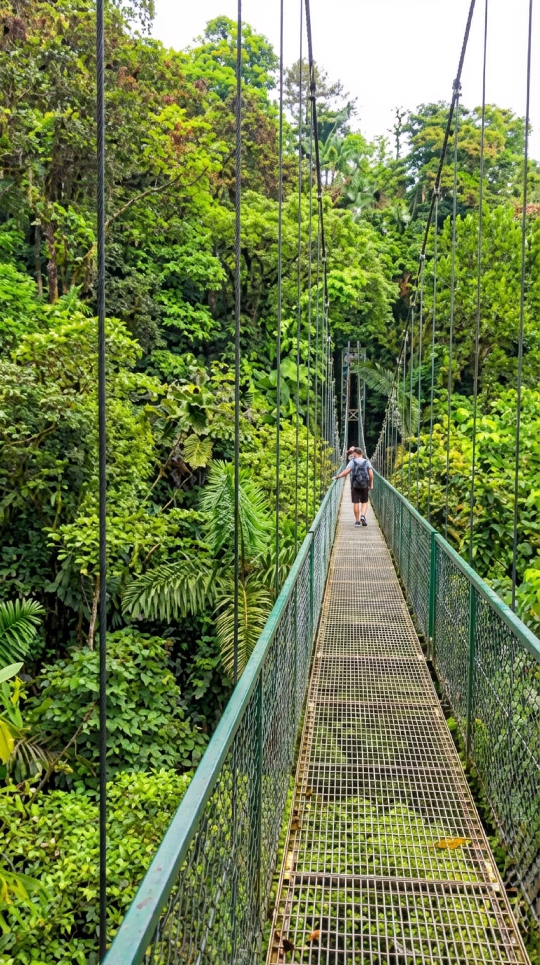 Buena Vista del Rincón — 3