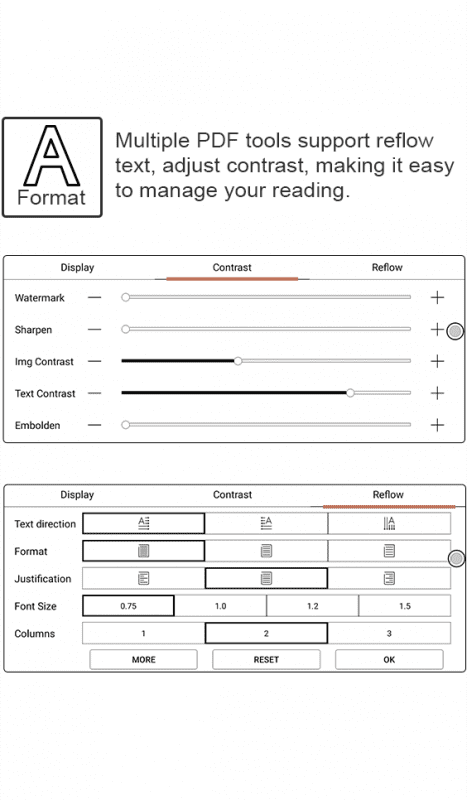 Onyx Boox Max 3 features