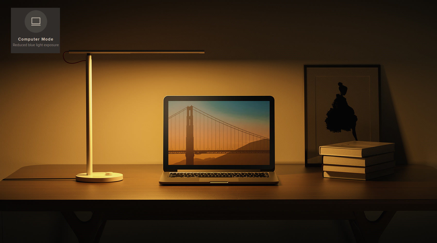 Xiaomi MUE4105GL features